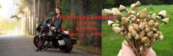а пвп мука Баксан