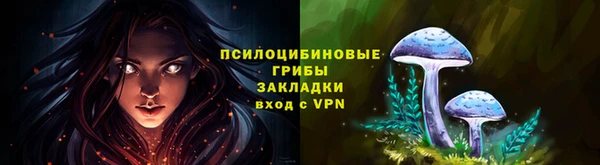 прущие крисы Балахна