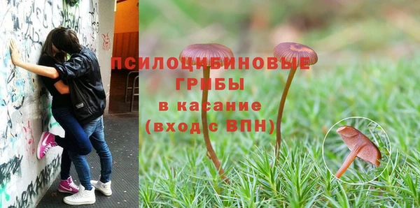 а пвп мука Баксан