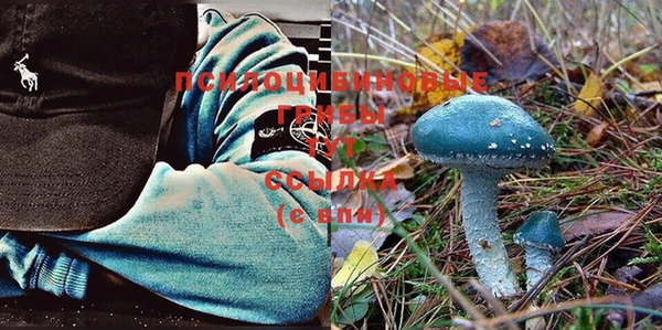 прущие крисы Балахна