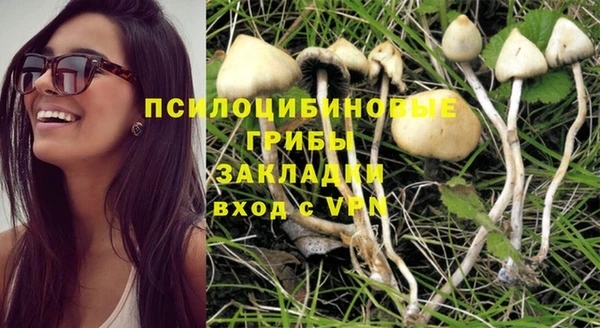 прущие крисы Балахна
