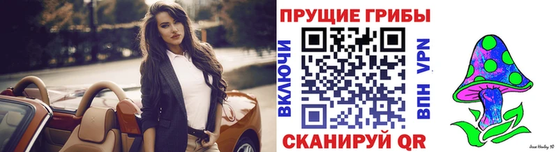 даркнет состав  Усмань  Псилоцибиновые грибы Cubensis  дарнет шоп 